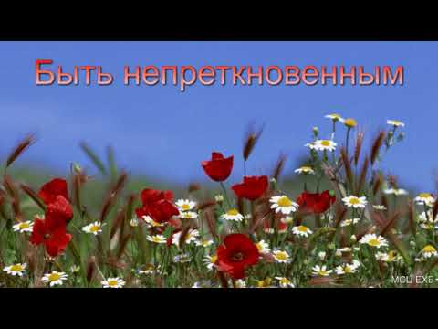 Видео: "Быть непреткновенным". А. Н. Оскаленко. МСЦ ЕХБ
