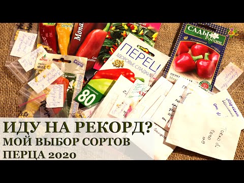 Видео: 31 сорт перца / Мой выбор сортов на 2020