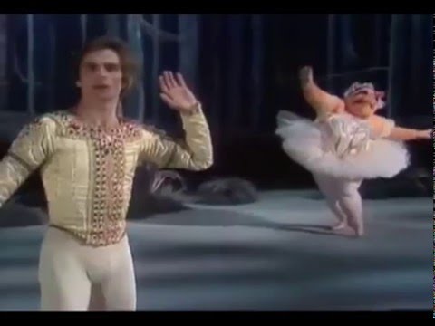 Видео: Rudolph Nureyev. Muppet Show. Рудольф Нуриев и мисс Пигги