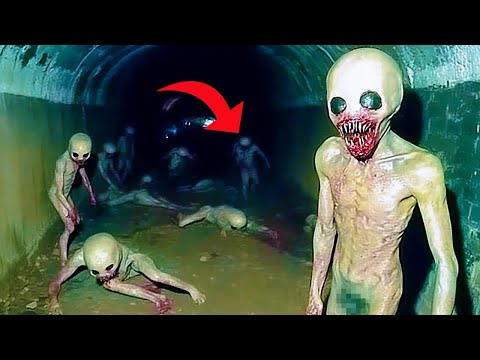 Видео: Эти кадры УНИКАЛЬНЫ! Существо попало на видео всего один раз! 😱📹