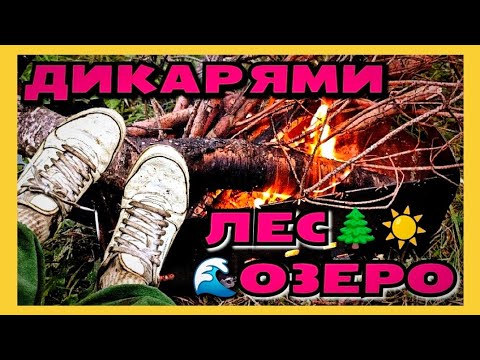 Видео: #163 ДИКАРЯМИ ☀️В ЛЕСУ🌲НА ОЗЕРЕ 🌊 КЕМПИНГ 🏕️ АВТО 🚗  КОСТЕР🔥 ТУЛЬСКАЯ ОБЛАСТЬ 🇷🇺 #синийтрактор365 🚜
