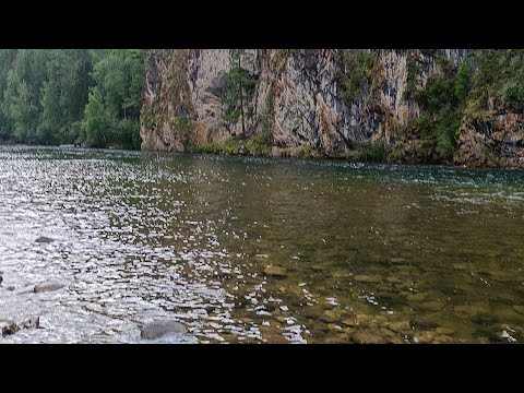 Видео: Ходовая рыбалка на хариуса в середине июля/ рыбалка на хариуса/ рыбалка на маховую удочку