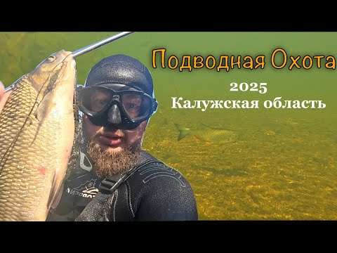 Видео: Подводная охота 2025. Малые реки Калужской области.