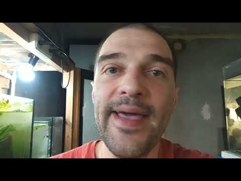 Видео: Сетка - скатка для живородки!! Возвращаем Гупёшек на место!!