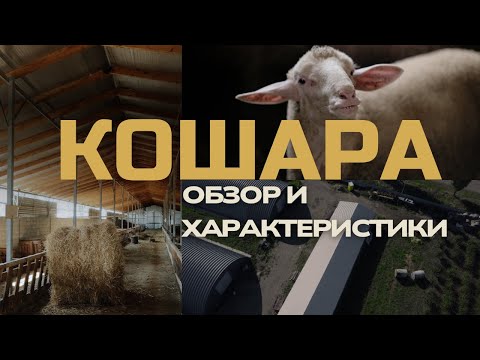 Видео: Корпус для содержания овец, обзор кошары