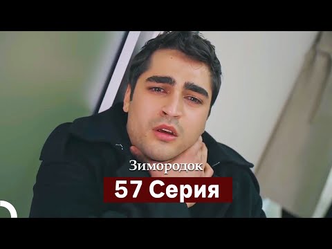 Видео: Зимородок 57 Cерия (Русский дубляж)