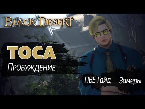 Видео: Тоса Пробуждение | БДО | ПвЕ Гайд | Dosa Awakening | BDO | PvE Guide