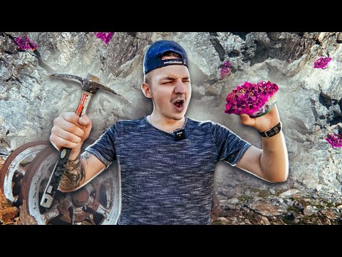 Видео: ПОИСК РЕДКИХ КРИСТАЛЛОВ! Кладоискатели - Полярный круг **ИХ ОЧЕНЬ МНОГО**