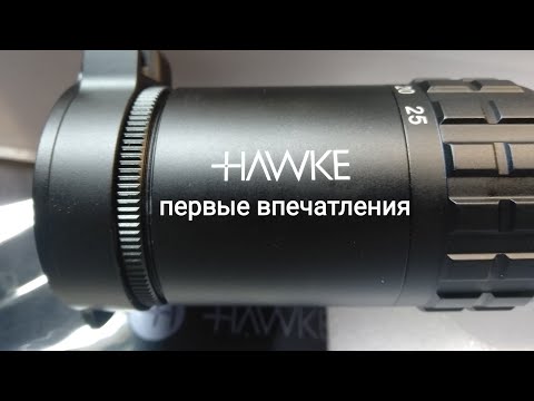 Видео: Hawke - обзор дилетанта 🤷🏻‍♂️