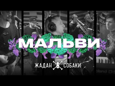 Видео: Жадан і Собаки – Мальви (Офіційне відео)