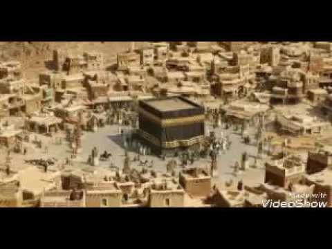 Видео: Кабанинг тамири...Абдуллох домла