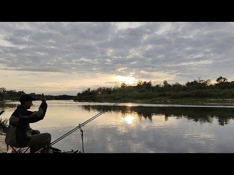 Видео: ЗАБРАЛСЯ В ГЛУШЬ // ОСЕННИЙ ФИДЕР, В ПОИСКАХ ХОРОШЕГО КЛЁВА.