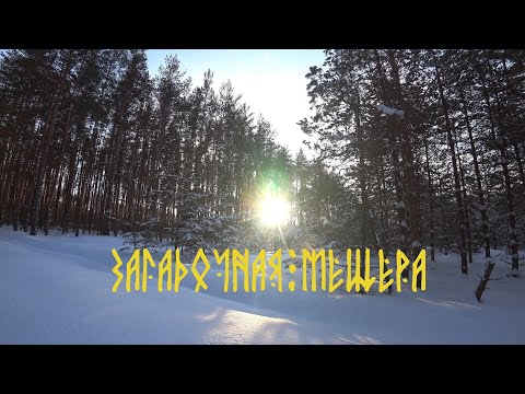 Видео: Поход по зимней Мещере.