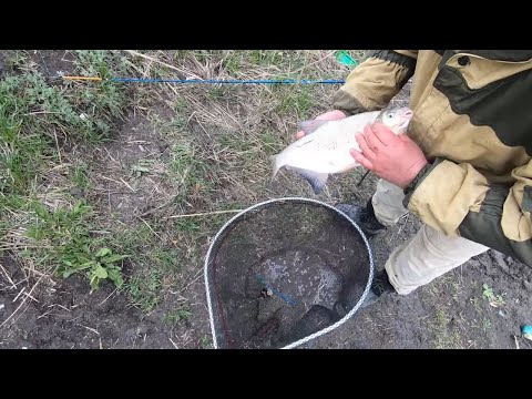 Видео: Рыбалка на теплом канале 16.04.22.