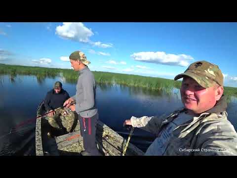 Видео: Клев хищника на закате. Рыбалка в Сибири.