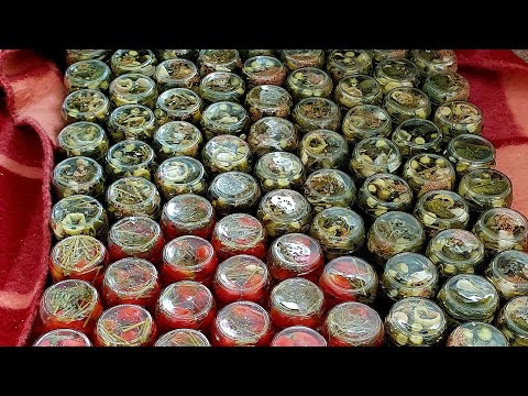 Видео: ЖЕНЩИНА МОЖЕТ ВСЁ‼️ / НЕ ВЕРИТЕ - ПОСМОТРИТЕ 😉 если захочет