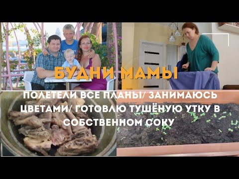 Видео: Будни мамы / полетели все планы/ занимаюсь цветами/ готовлю тушёную утку в собственном соку