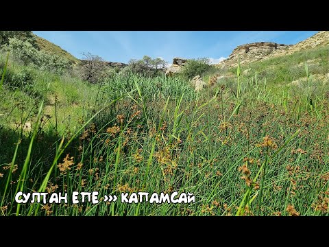 Видео: Султан Епе! Капамсай! Красоты Мангистау!