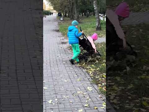 Видео: Катания на коляске!