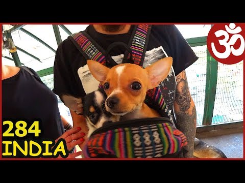 Видео: INDIA Дели. Маленький Тибет. Билет в Дарамсалу. Тибетская еда.