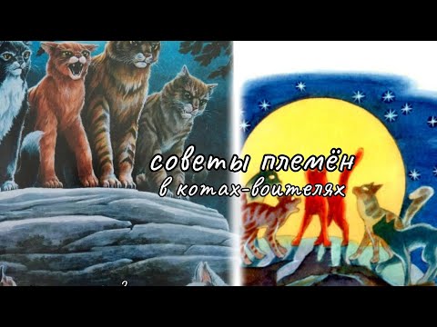 Видео: Советы племён в котах-воителях | что это такое? |