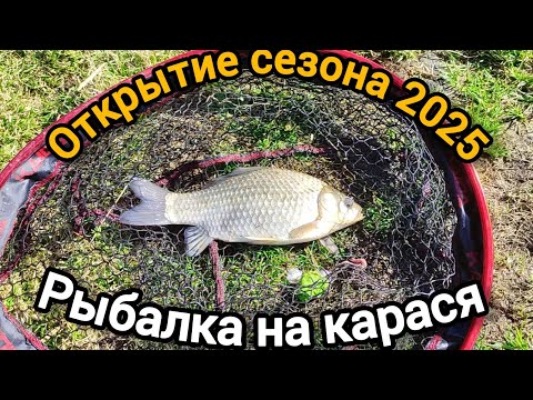 Видео: Рыбалка 2025 на донки, ловлю карасей по холодной воде Открытие сезона 2025 #рыбалка #fishing #feeder