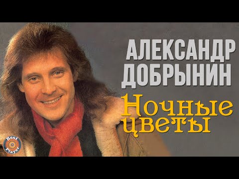 Видео: Александр Добрынин - Ночные цветы (Альбом 1992) | Русская музыка