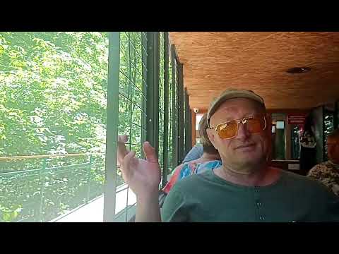 Видео: На паровозике вперёд! Гуамка, ты прекрасна и неповторима!