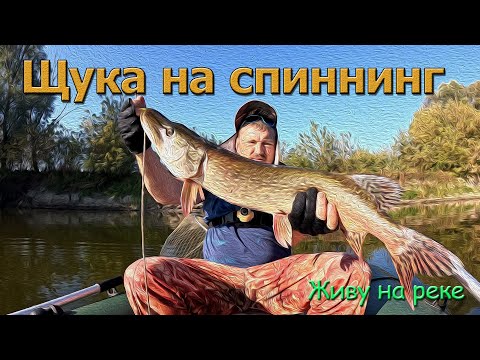 Видео: Щука на Спиннинг в сентябре! Рыбалка на щуку. Живу на реке