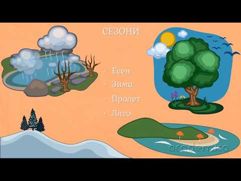 Видео: Есен - Околен свят 1 клас | academico