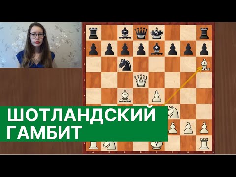 Видео: Шотландский гамбит