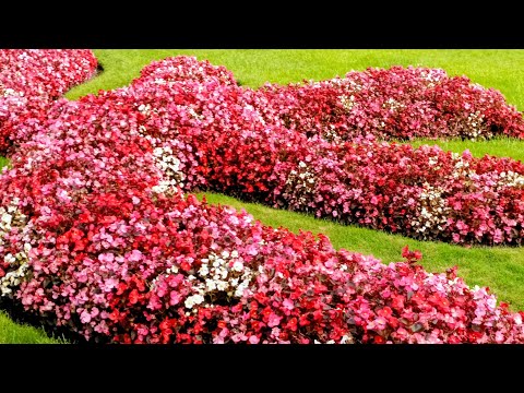 Видео: 1 250.ПРАЖСКІЙ ГРАД
