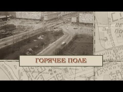 Видео: Горячее поле / «Малые родины большого Петербурга»