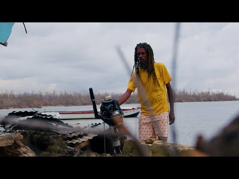 Видео: После урагана «Мелисса»: рыбаки Фалмута столкнулись с новой реальностью | Трелони восстанавливается