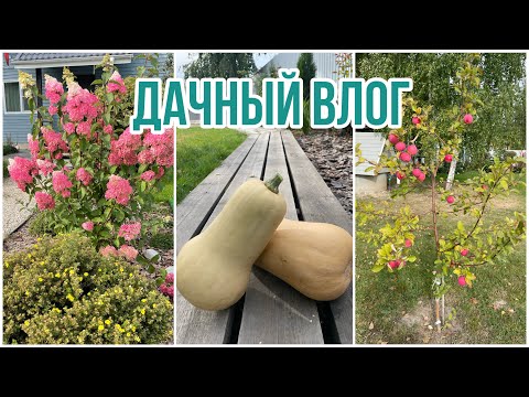 Видео: Дачный влог. Вот такие выходные ! 🤷🏼‍♀️