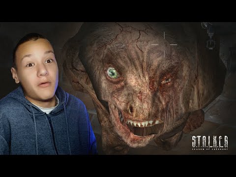 Видео: Нейтральные ► S.T.A.L.K.E.R. Shadow of Chernobyl #8