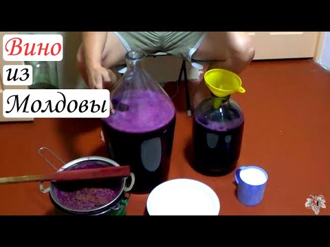Видео: ВИНО из МОЛДОВЫ