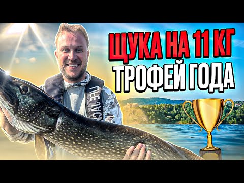 Видео: Щука на 11 кг с Active Target 2 — настройка, поиск и трофей!