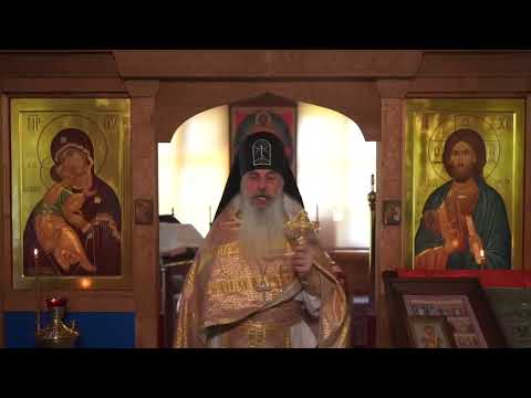 Видео: Пастыри, где вы.