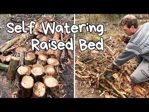 Видео: Создание хугелькультуры для моего пермакультурного лесного сада🪵