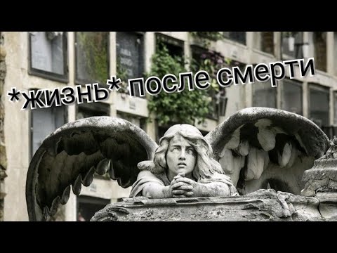 Видео: Кладбище в Барселоне. Испания. Цены, условия и как выглядит *жизнь* после смерти в Барселоне.