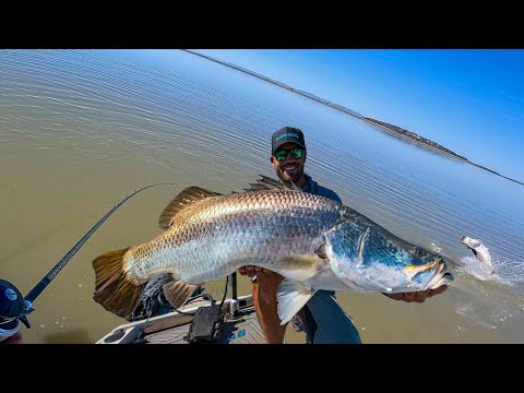 Видео: Гигантская солоноводная баррамунди ловит рыбу в реке. Столько рыбы!