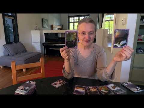 Видео: Какие у партнера планы на вас? Мысли чувства мужчины 💞Что скажут Высшие Силы?!⚜️ #КоЛена Таро