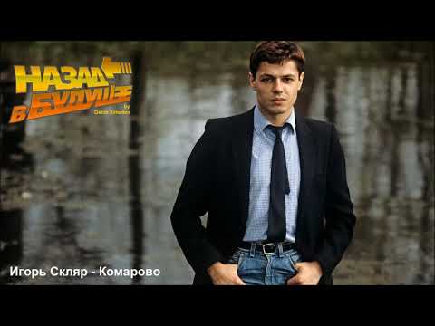 Видео: Игорь Скляр - Комарово (Back to the Future Remix)