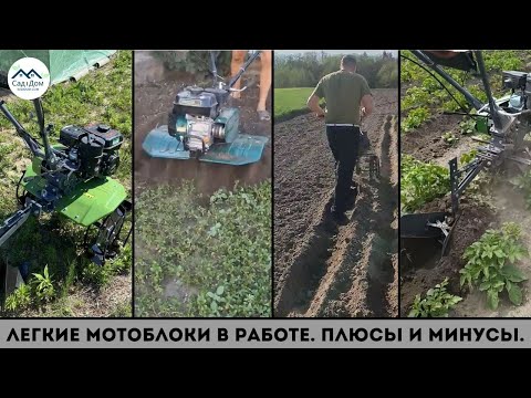 Видео: Легкий мотоблок в работе фрезами и навесным оборудованием. Преимущества и недостатки.
