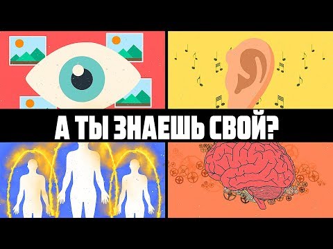 Видео: [КостяПрав] 4 типа восприятия человека