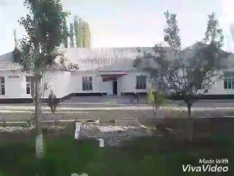 Видео: Озгон Н.К.В.Д 1985-ж жолугушу