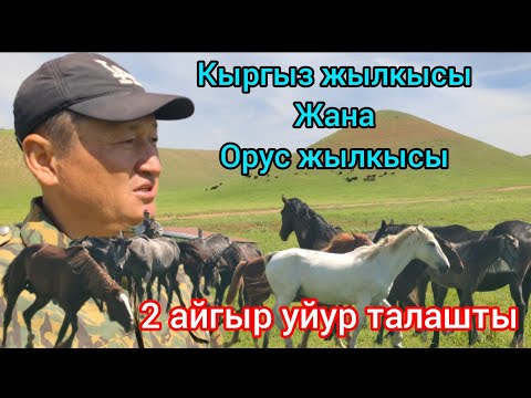 Видео: Мырзакул ажы авабыздын дыйканчылык чарбасы