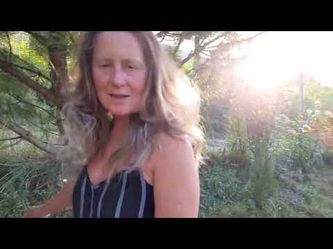 Видео: Шале и розы в горах Италии. Жара продолжается,  готовим пиццу.