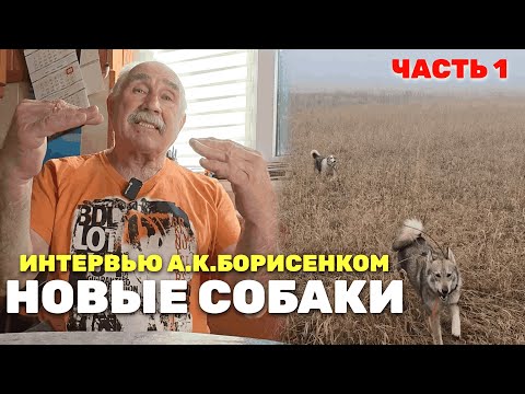 Видео: Взял новых собак. Большое интервью с А.К.Борисенком. Часть 1.